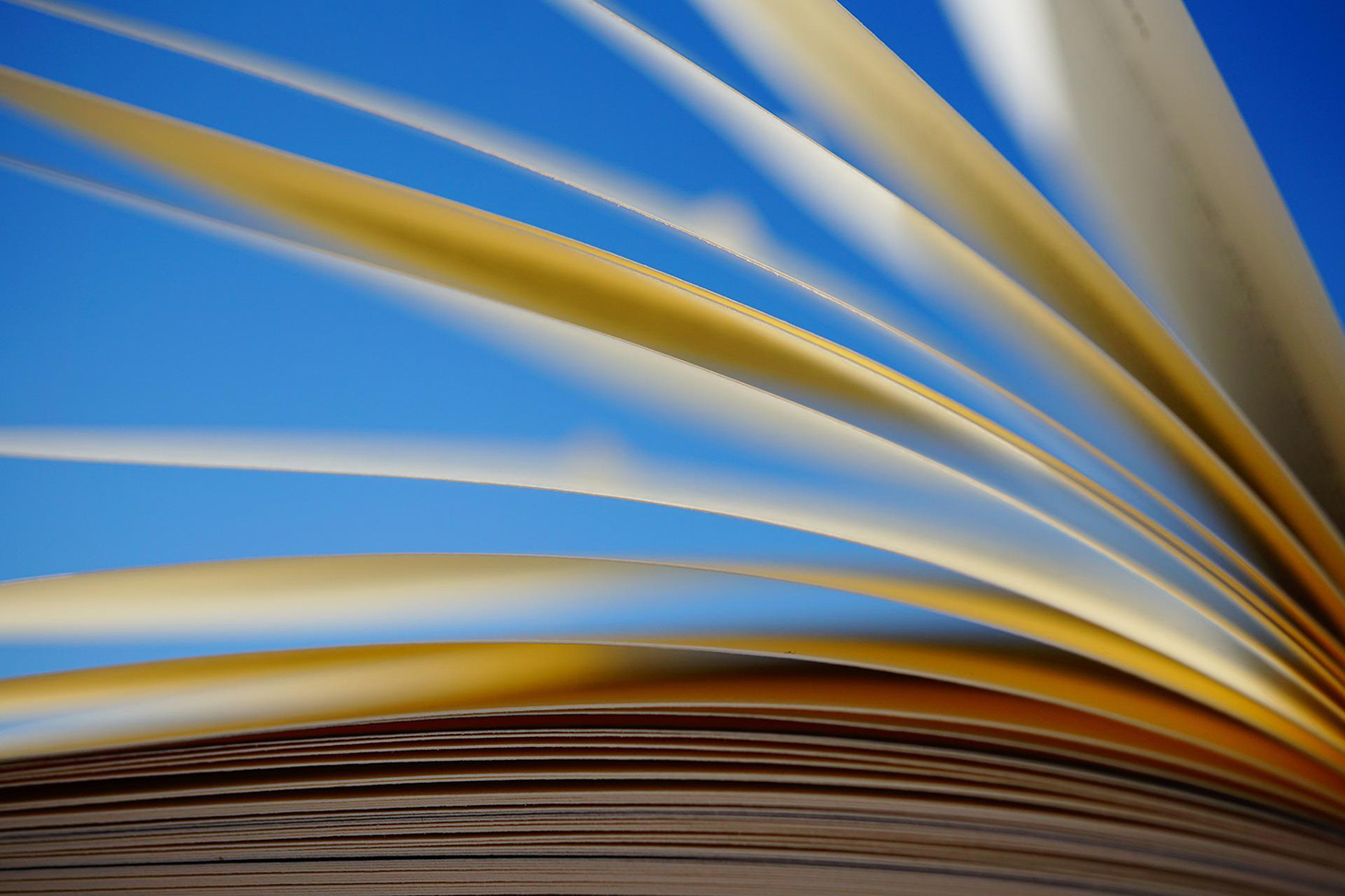 bibliography