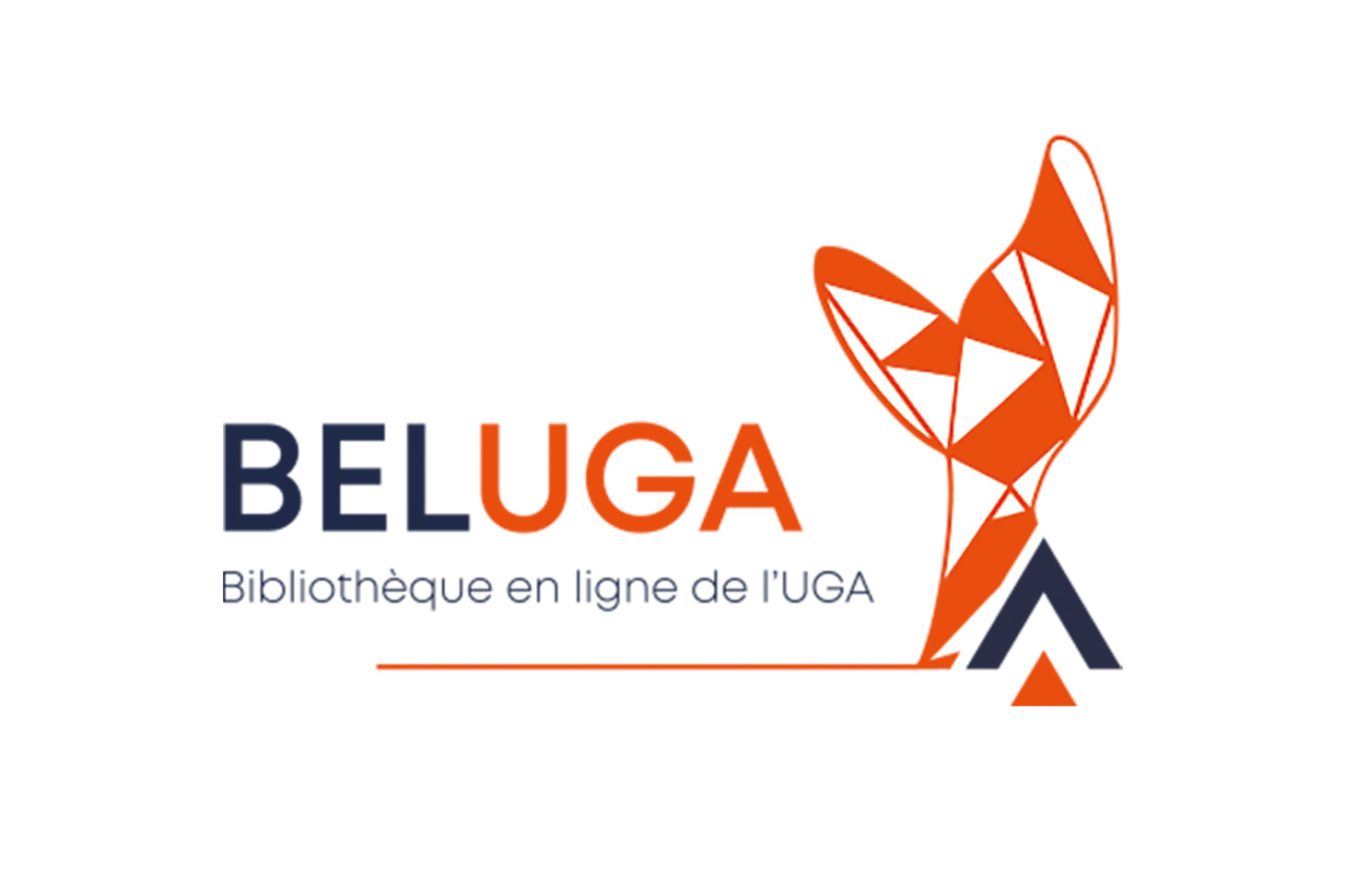 beluga