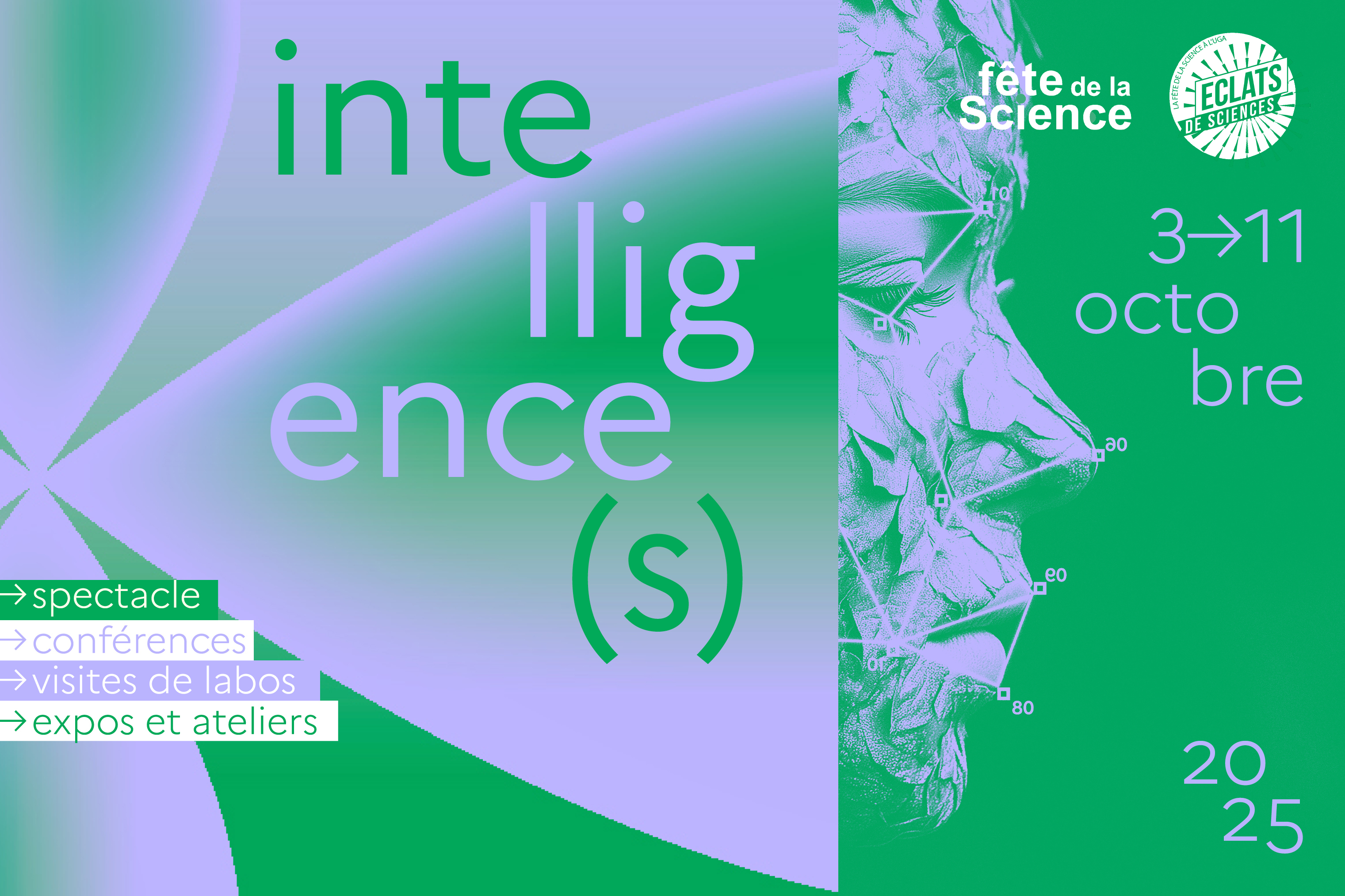intelligences
